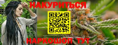 индика Ливны